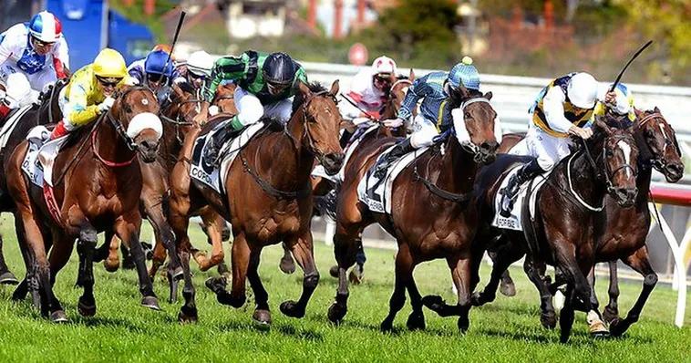 Khám Phá Cách Tìm Hiểu Cá Cược Đua Ngựa M8Win Thắng Lớn